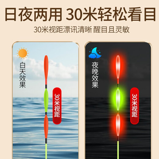 远投硬尾LED芦苇夜光漂日夜两用大物电子鱼漂青草鲢鳙浮漂 LF-15042号吃铅5.12远投青草鲢 大物芦苇夜光漂一支