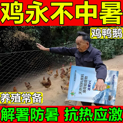 Chicken heatstroke prevention first aid medicine to relieve heatstroke, veterinary medicine for pigs, cattle, sheep, chickens, ducks, geese, pigeons, drowsy cooling, anti-heat and anti-stress general eight-pack essential for breeding