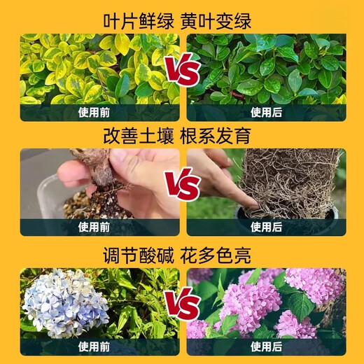 Intelligent green ferrous sulfate flower fertilizer acid-loving plant gardenia camellia azalea azalea osmanthus water-soluble fertilizer anti-yellow leaf household fertilizer ferrous sulfate barrel 5Jin Jin equals 0.5 kg