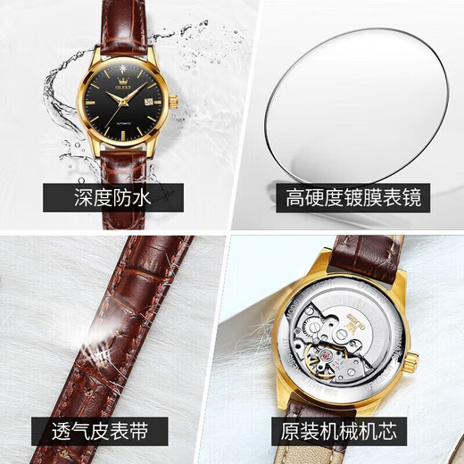 
OLEVS (OLEVS) Swiss certified top ten watches for women's fully automatic mechanical watches simple temperament women's watch light luxury small belt 6629 upgraded version brown leather black face women free engraving