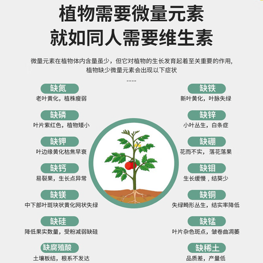 Kevohua pepper blight clearing compound microbial agent for pepper special bacterium clearing one bacterium clearing disease special medicine 30g * 1 bag blight clearing agricultural fungicide tomato