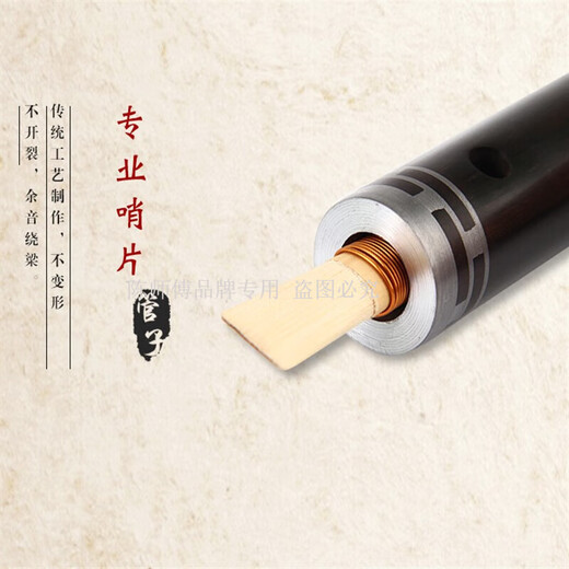Instrument de tuyaux à gaz lacrymogène pour le tuyau d'ébène de Master Chen D Tourneau Copper Hoop [1 Whistle en plastique] +8