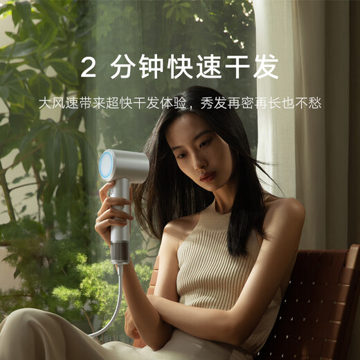 Mijia High Speed Hair Dryer H501 Xiaomi Official Flagship Store Negative Ion Hair Dryer National Subsidy Home Hair Dryer Recommended as a Birthday Gift for Girlfriend Nuanshan White