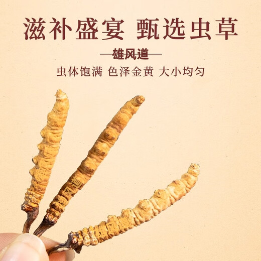 高端礼盒装冬虫夏草送长辈送领导滋补品藏区冬虫夏草干虫草50根 50根【3根一克】高端礼盒装