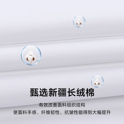 CEO雅戈尔短袖衬衫男夏季商务休闲纯色DP免烫高端休闲工装棉衬衣 紫细条DX6624 41 建议150-160斤