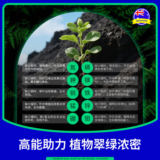 Tang Benchen Lvqing PhytoActivin to Save Yellow Leaves from Falling Leaves, Potassium Fulvic Acid, Money Tree Flower Nutrient Solution, Foliar Fertilizer, 3 Bottles, Buy Two Get One Free