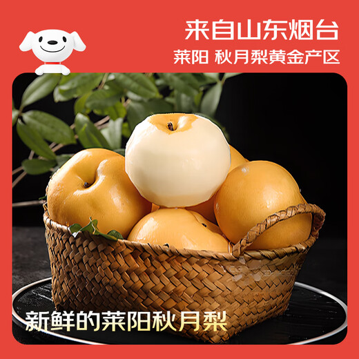Jingxiansheng Shandong Yantai Laiyang Qiuyue Pear Net weight 4.5Jin Jin equals 0.5kg Single fruit 350g+ Fresh fruit Straight from the source