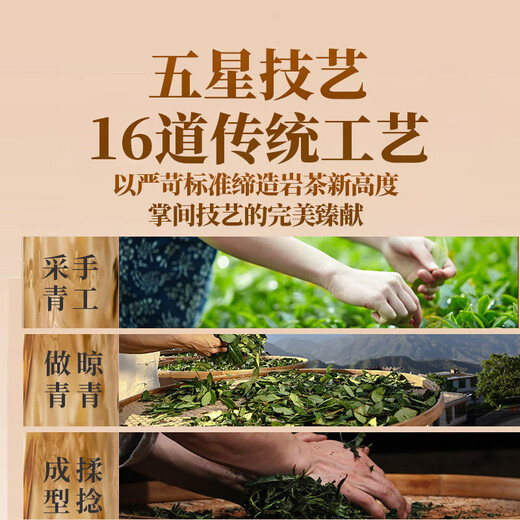 Tea Wuyi Authentische Dahongpao Independent kleiner Brew Bag Tee Bag Rock Tee Oolong Tee Geschenkbox Eigen [starker Duft und Blasenwiderstand] Dahongpao 125g/Box