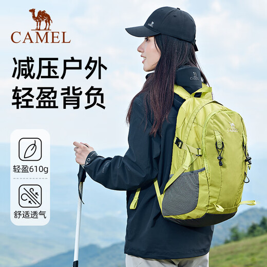 骆驼（CAMEL）云涧户外登山包双肩包运动旅游旅行徒步防泼水爬山骑行休闲书包 574D789650-糖果绿-23L