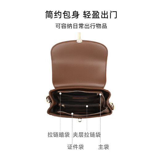 ANYSMIC包包女包轻奢侈大牌高端品牌女士包2025新款斜挎包女包单肩小方包 咖啡色