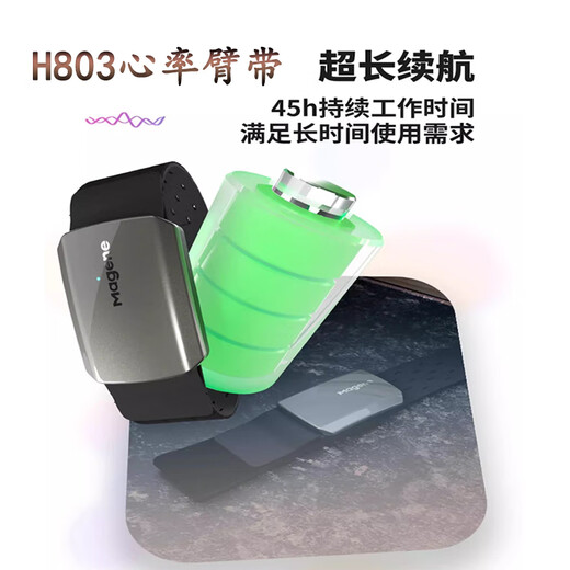 山头林村迈金山地公路自行车踏频器S314骑行跑步运动H303心率带双 H803心率臂带