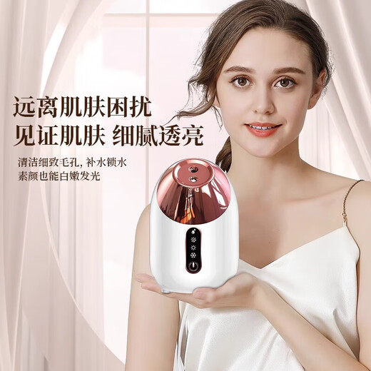 MGXEK German facial steamer, hydrating instrument, nano-spray artifact beauty instrument, facial hot spray steamer, household hot spray facial steamer, portable hydrating spray for beauty salons, luxury powder - hot and cold, sensitive skin adaptation + fine care