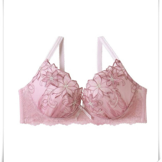 Yalu Risa, японский комплект D, тяжелая промышленность, изысканная вышивка, милая фея, бюстгальтер пуш-ап на косточках, чашка EF, голубая чашка, слишком маленькая 80B