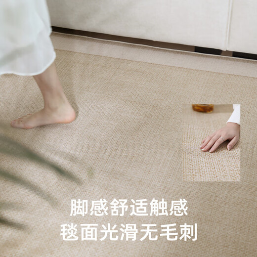 Kanto IKEA Living Room Carpet 2025 New Summer Light Luxury Ice Silk Cool Mat Tatami Floor Mat Room Yimu-15780 200cm*300cm [Model]