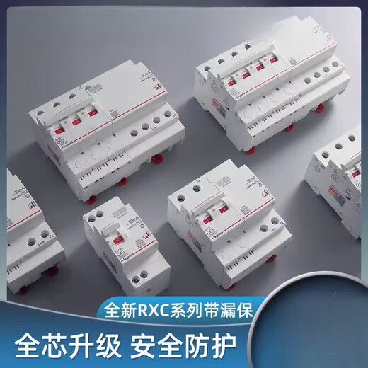 Leakage protector air switch circuit breaker RXC series electric switch 63A 1P+N
