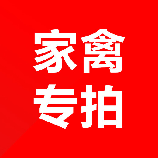 Xiaomuxia Sulfonate for chickens, ducks, geese, pigeons, quail feed additives, poultry special shot, sulfaclofenac