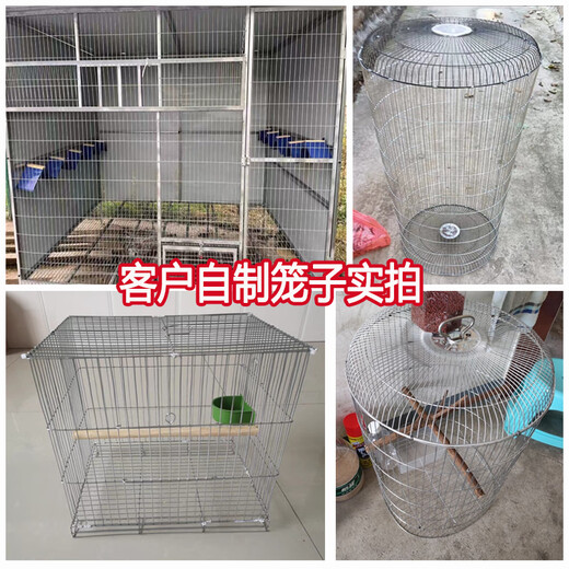 Zhongsenweit galvanized long-hole pigeon cage wire mesh fence for breeding chickens, pigeons and rabbits, homemade birdcage window sealing protective grid 30cm high - 1.1X10cm hole - wire 1.8 thick 1 meter long