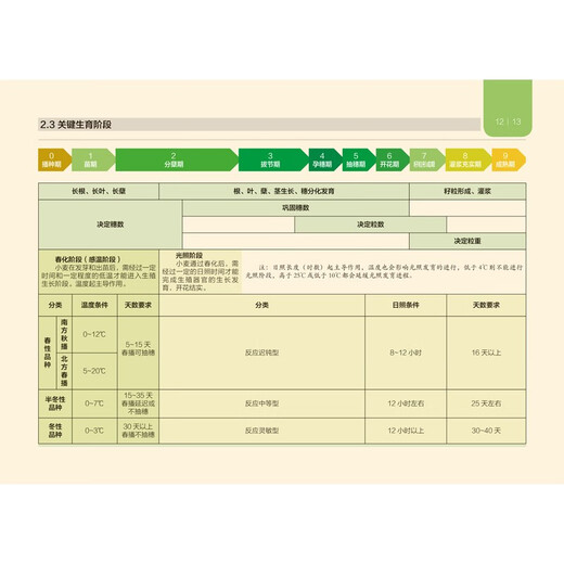 Illustration of wheat