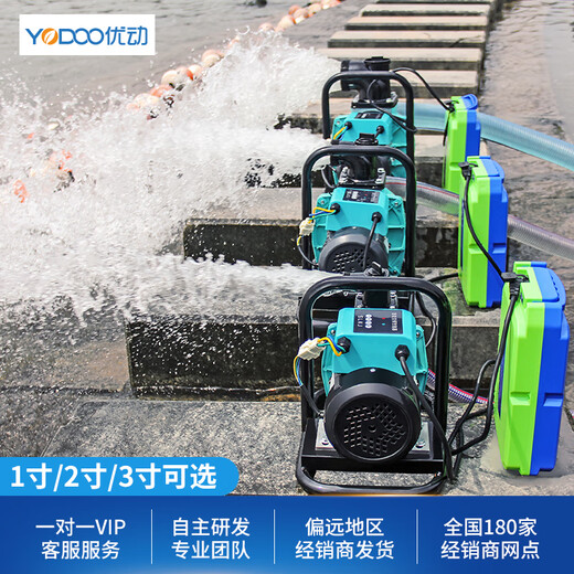 YouDong DC Electric Tubmersible Pumpe 48v60V72V Volt Elektrofahrzeug Wasserpumpe für landwirtschaftliche Haushalte Elektrische Batteriepumpe 1 Zoll Wasserpumpe 800W ohne Batterie 4872-0