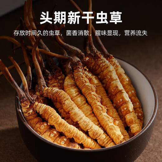 Cordyceps sinensis, Cordyceps sinensis, fresh soaked wine and soup ingredients for the elderly, Cordyceps sinensis, 1 root