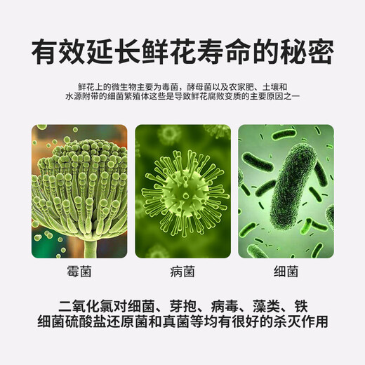 Xinyin chlorine dioxide effervescent tablets for flowers and green plants, special sterilizing water purifier for flowers and green plants, inserted into flower preservatives 100 tablets