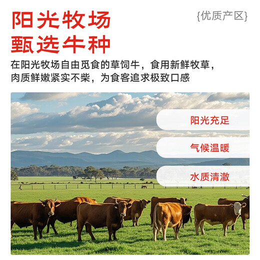 月盛斋进口原切牛腩块净重4斤 生鲜炖煮食材  源头直发包邮