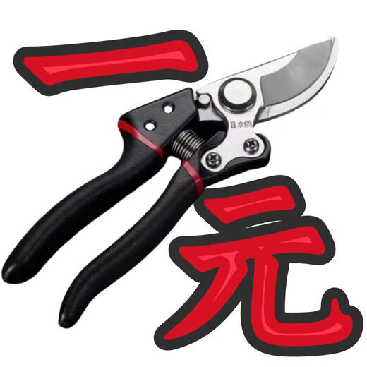 German imported steel shears, tree shears, fruit branches, household branch shears, flowers and trees, grape pruning pick ax pick ax grape shears, ultra-thin extra small u shears
