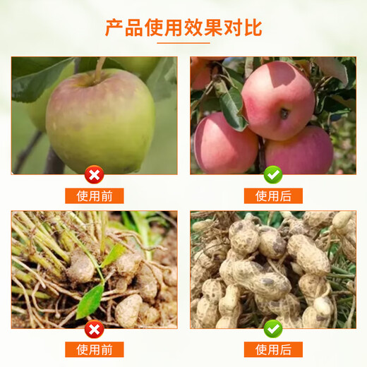 Guoguang Ximu 24 - epibrassinolide, a growth regulator for flower seedlings that preserves flowers and fruits, promotes growth, and removes pesticide damage Guoguang Ximu (brassinolide) 100 ml