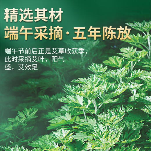 Jintaikang moxibustion column 10 pieces/box moxibustion column moxa stick five-year pure moxa mugwort moxa leaf strip moxa velvet column stick household incense