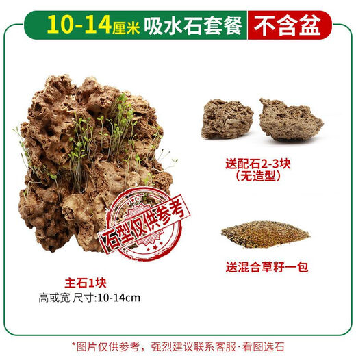 Water-absorbing stone 10-160CM natural water-absorbing stone raw stone water stone stone mountain bonsai rockery fish tank landscaping ornaments micro only stone 10-14 water-absorbing stone package