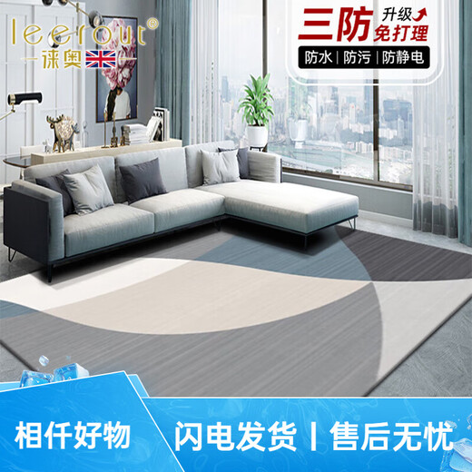 徕奥leerout客厅地毯免洗可擦沙发地垫大面积全铺房间高级感家用防水 简约13567号 300cm*200cm(耐磨耐用)