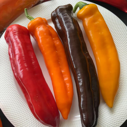
Zhushi Orange Fruit Colored Peppers Bell Peppers Yunnan Fresh Long Pepper Mini Chili Can Eat Raw Salad Seasonal Fruits and Vegetables Premium Medium Fruits 1050g - Randomly sent 2-4 colors