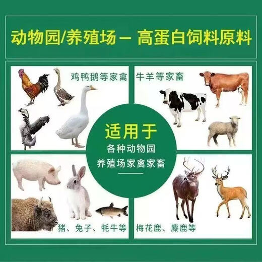 Chicken feed wholesale manufacturer hot selling wholesale stevia fodder chicken, duck, goose, horse, cattle, sheep and rabbit animal feed dry material batch 10Jin Jin is equal to 0.5kg packed with stevia
