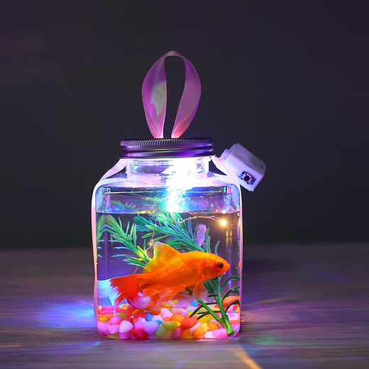 Canned fish stall artifact 500ml Internet celebrity square luminous small goldfish tank night light night market stall betta fish tank Square canned fish 1 set (5-piece set, fish not included)