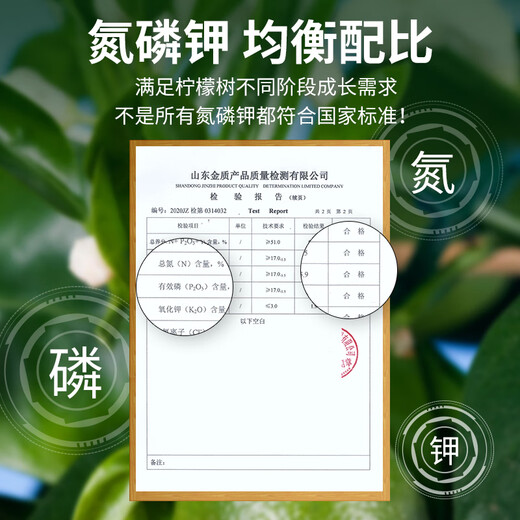 Manlife lemon tree special fertilizer potted nutrient soil improves the problem of yellow leaves defoliation and allows the tree to thrive 2.5kg ceramsite colored small ceramsite 5-6mm package