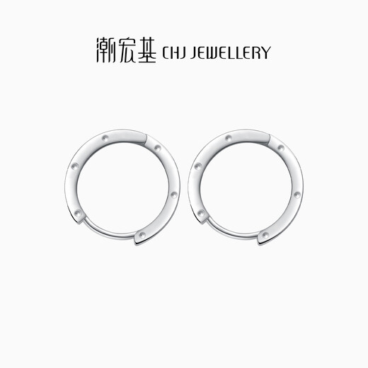 Trendy Acer Minimalist Platinum Earrings Women's Earrings for Girlfriend's Birthday Gift Priced at RMB 100 per piece Single Model Approximately 0.95g
