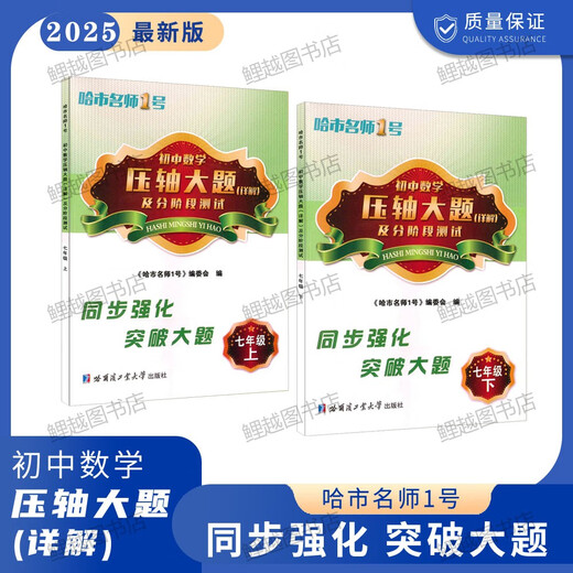 初中数学2627压轴大题详解六七八678年级五四54制哈尔滨市期中末 8年级【下册】 初中通用