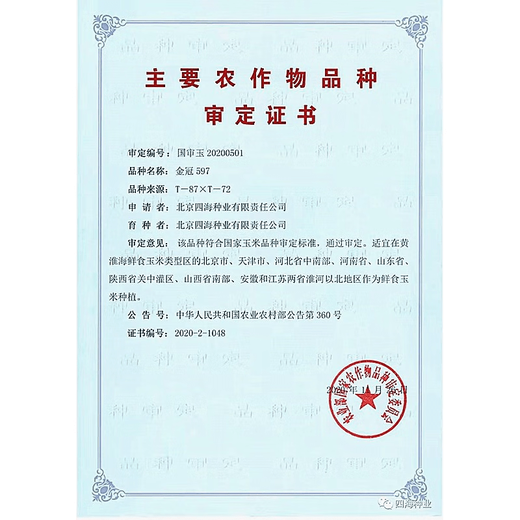 Fruit corn seeds super sweet fresh edible big stick without residue Beijing Sihai Seed Industry Golden Crown 597 corn seed original Golden Crown 597 fruit corn 100g