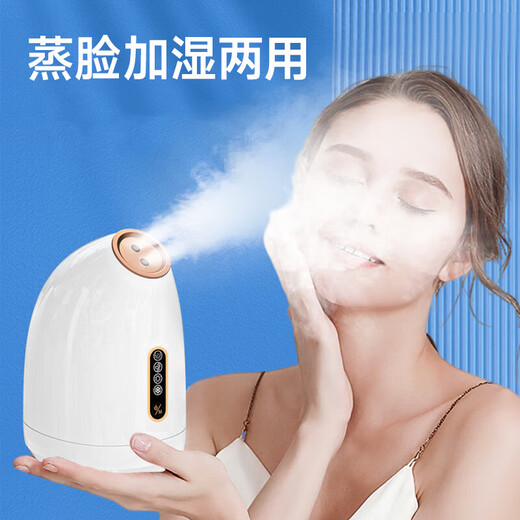 Relieve dryness, facial steamer, hot and cold dual-spray facial household moisturizing nano-spray mask hydration device, fully upgraded, daily good things for women and men in autumn and winter, pink Z16