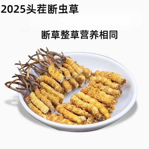 虫草断草高海拔冬虫夏草断虫草正品断草自用冬虫夏草泡酒补品药材 藏区精品大号断虫草20克装