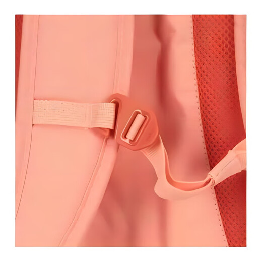 Nike Nike Travel Fashion Stoff Rucksack reguläre Männer und Frauen gleiches Model Paar Pink Orange Pink Orange