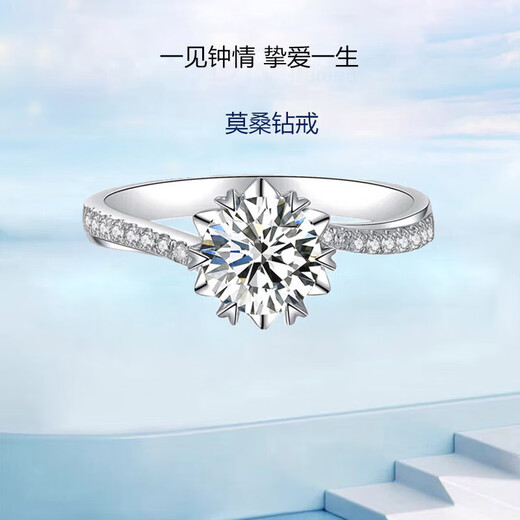 DR moissanite diamond ring couple ring for men and women, a pair of rings for marriage, wedding, birthday, lover gift for boyfriend and girlfriend, snowflake diamond ring, a pair of 1 carat live/closed rings