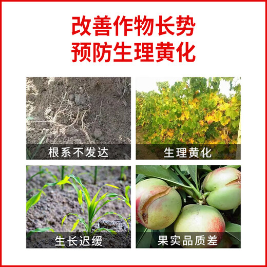 Jinzhengda amino acid-containing water-soluble fertilizer foliar fertilizer flush fertilizer garden fruit tree general fertilizer yellow leaf vegetable fertilizer amino acid liquid fertilizer 5L*1 seaweed fertilizer 1kg*1