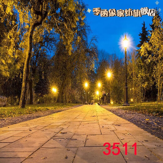 萝大搬（LUODABAN）主播直播间室外夜间风景路灯农村小路风景布3d立体网红直播背景布 1.5米宽2米高 109