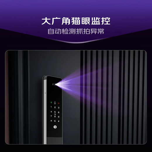 Kaadas smart lock Cat's eye surveillance camera fingerprint lock Face recognition smart door lock Q2 FV