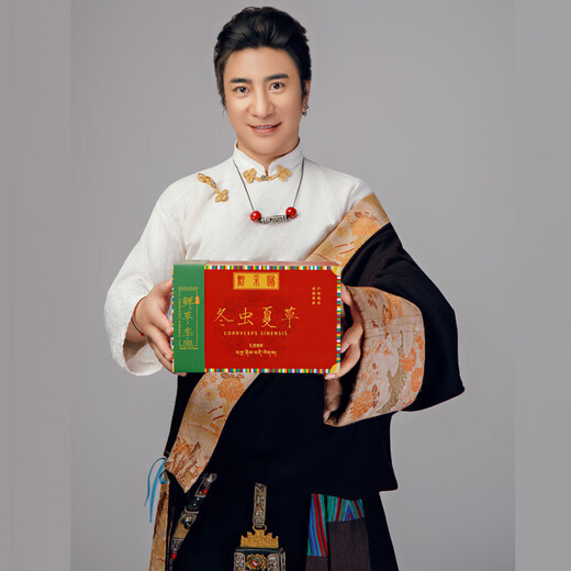 Beobachten und sammeln Sie wilden Cordyceps sinensis in Nagqu, Tibet. Frische Cordyceps-Ergänzungsmittel für ältere Menschen. Praktische Geschenkbox für ältere Menschen. Wildes frisches Gras der ersten Ernte, etwa 1,2 g/Wurzel, 100 Wurzeln.