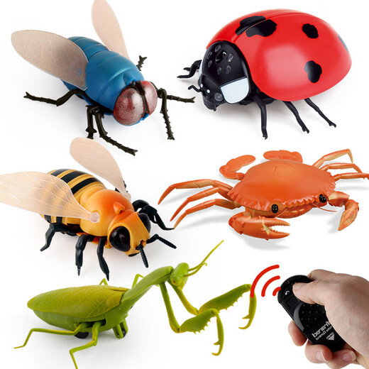 
Original direct supply, novel and unique remote control electric insect toys, electric snails and rats, pranks, 9923 bee, 129G, weight 0.29kg