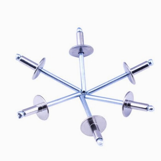 
Bingyu 304 stainless steel hat brim van type car open core pulling rivet Liuding willow nail big hat brim round head pull nail half steel 4*20*12250 pieces