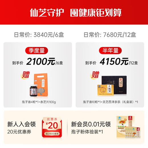 Xianzhilou Xianzhi Marke [National Standard-Einstellung, 10% Triterpene] Break-Block-Ganoderma lucidum-Spore-Pulverkapseln zur Verbesserung der Gesundheitsprodukte immunität 12 Kisten 576G [Halbjahresmenge] Familienernährung Familienernährung
