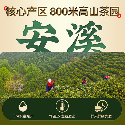Tieguanyin neuer Tee authentisch Fujian Anxi Oolong Tee reichhaltig und duftender Duft authentisch kons